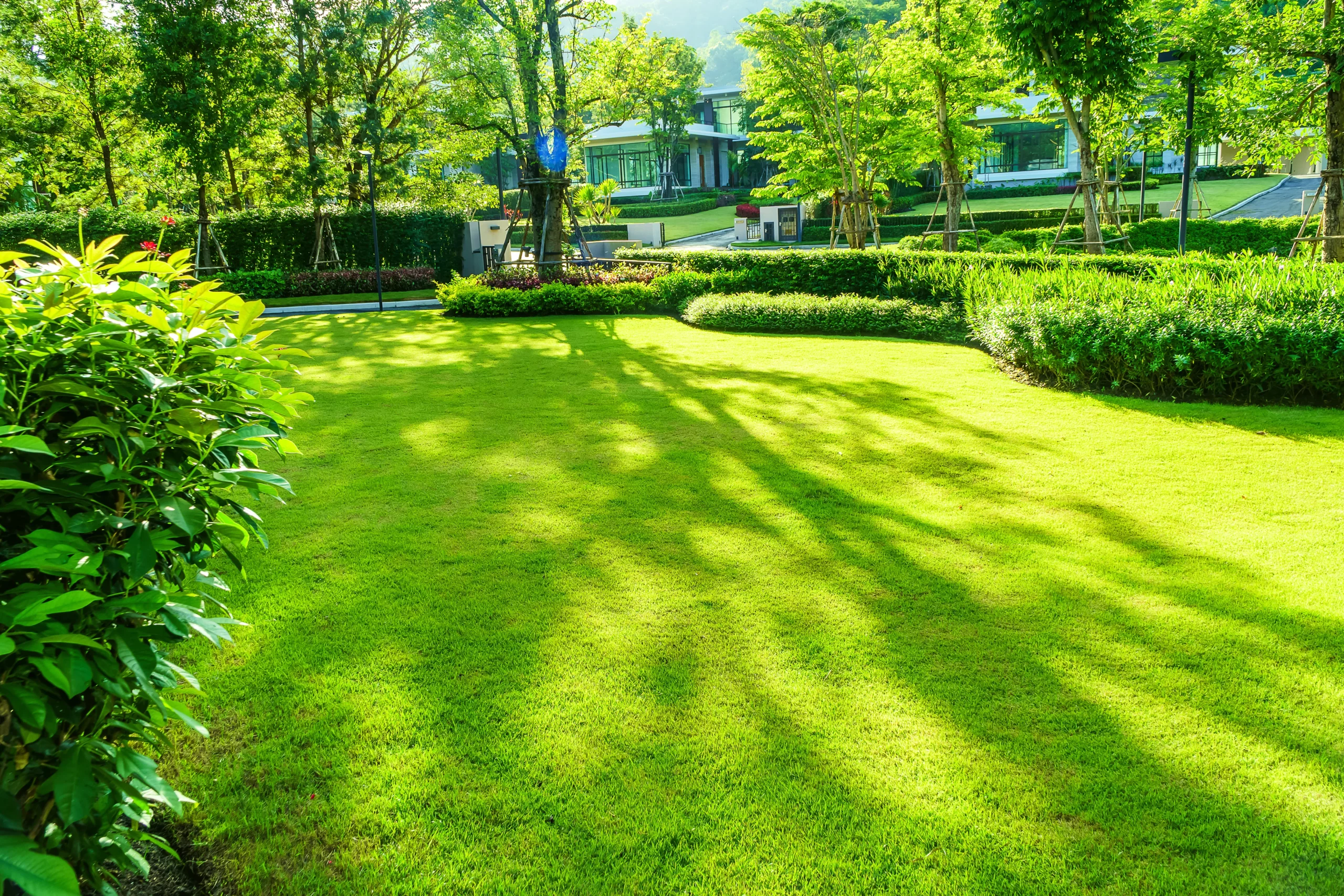 AdobeStock_278142701_resultat